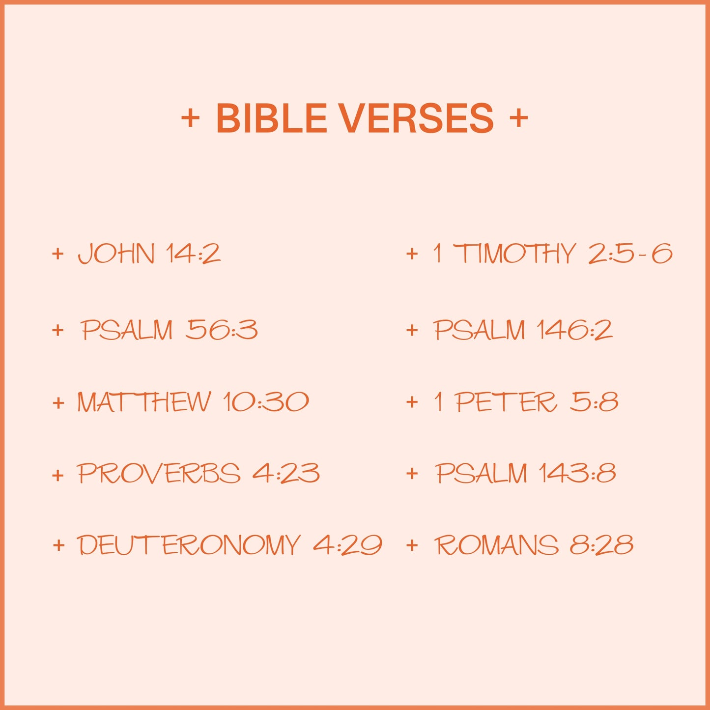 Youth Bible Set #4