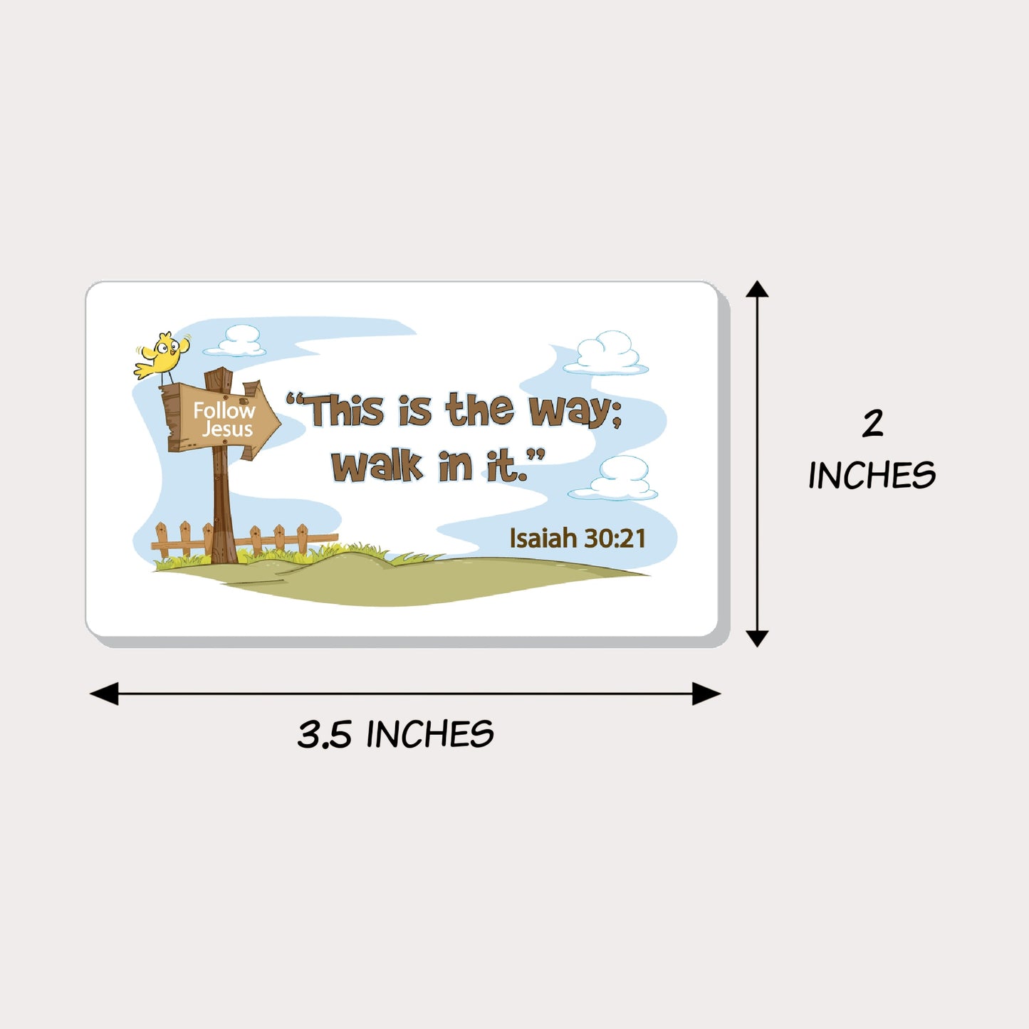 Teen Weekly Bible Set #6