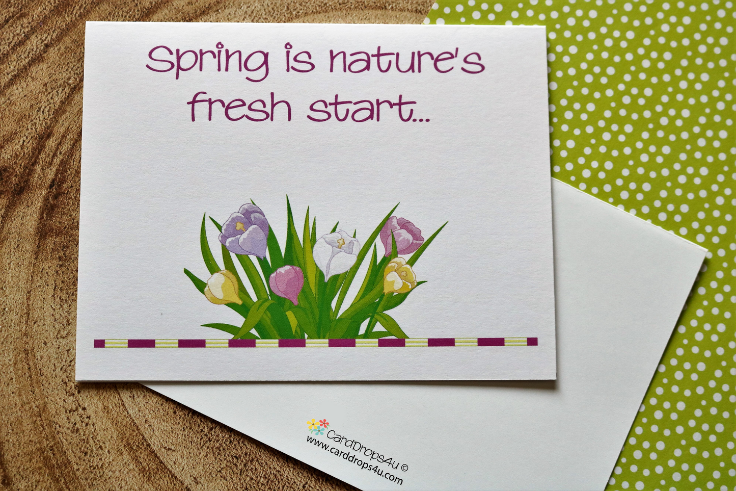 A Fresh Start