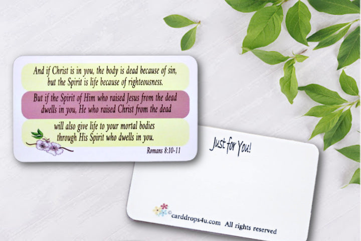 Christ in You