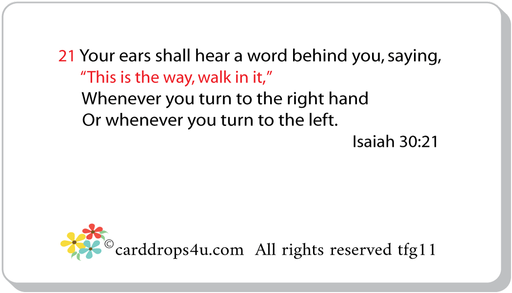 Go God's Way