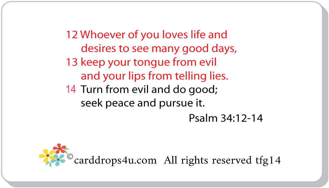 No Evil! No Lies!