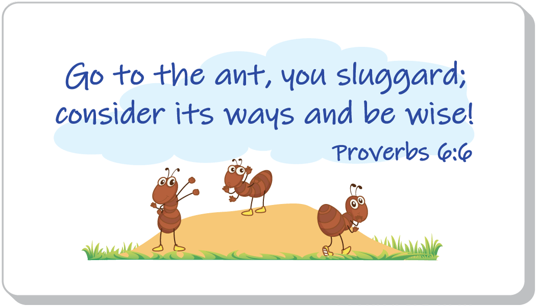 Copy the Ants