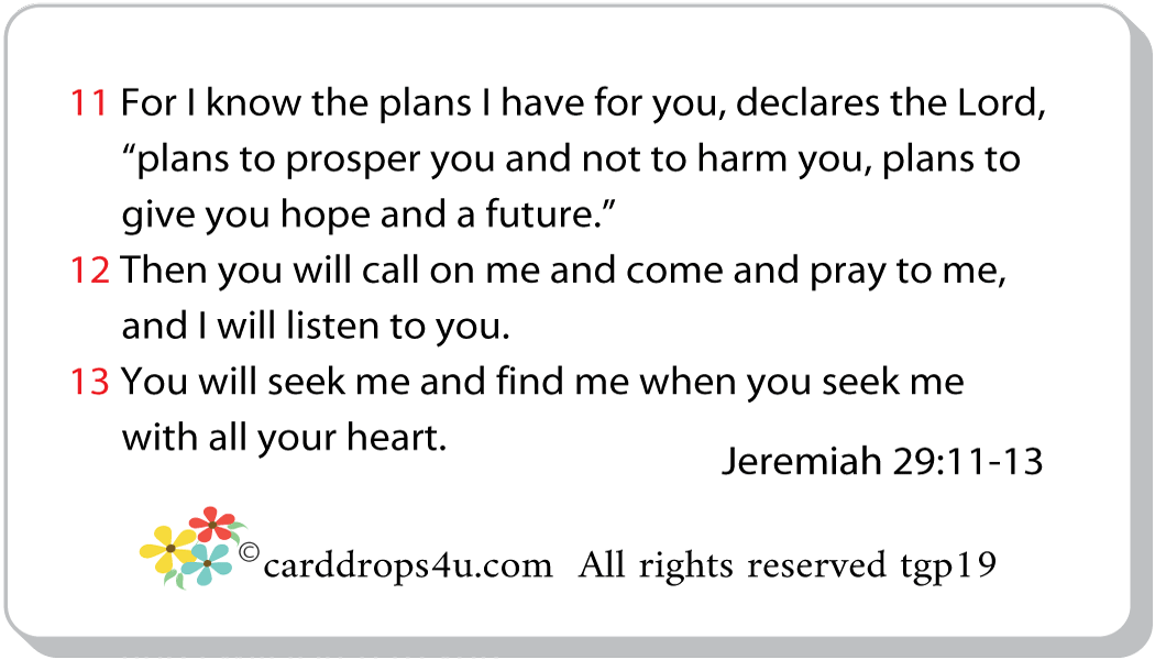 God's Plans for You