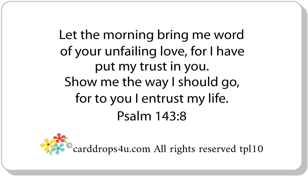 Praise and Trust God