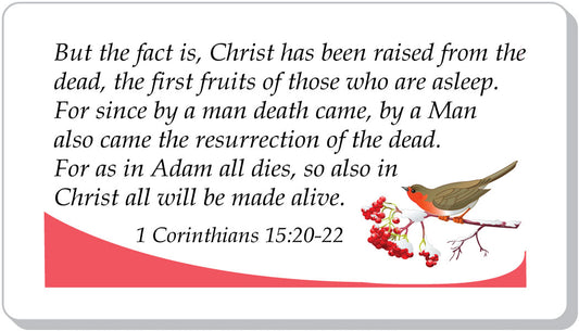 Alive With Christ