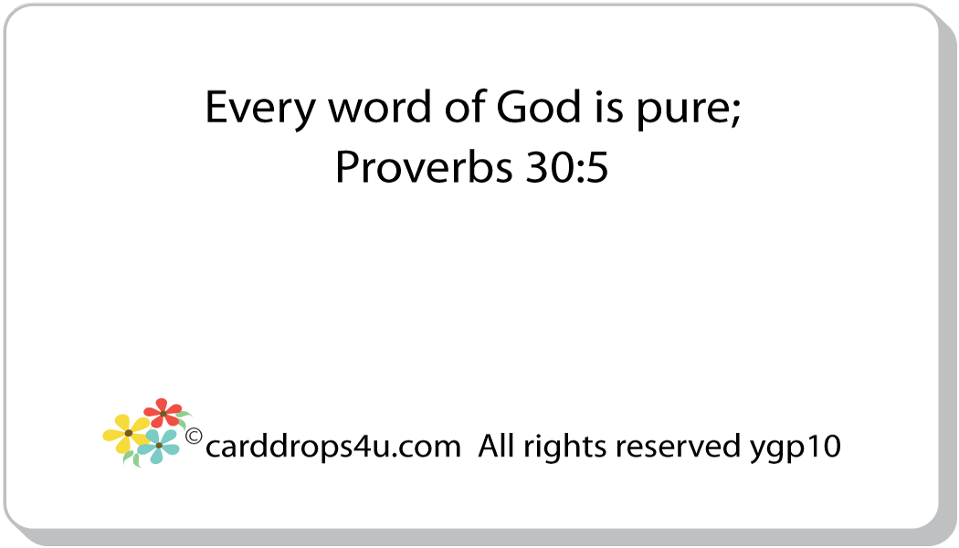 Love God's Word
