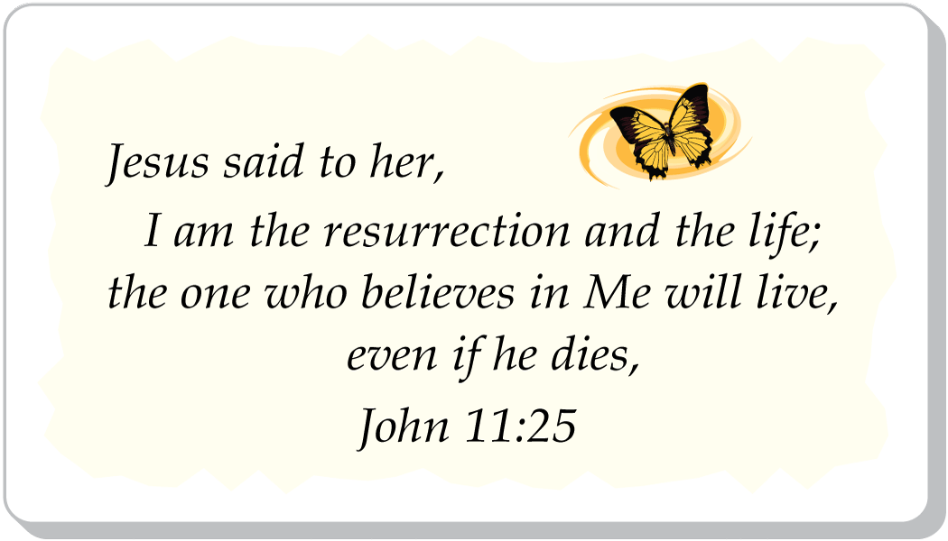 JESUS PROMISES