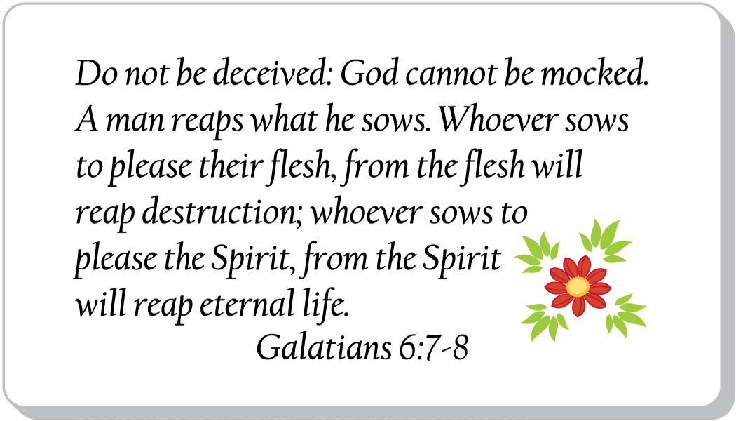 Do Not Be Deceived