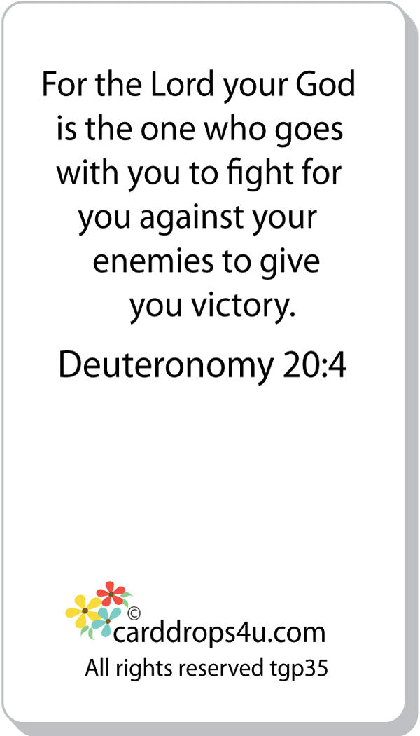 God Fights for You