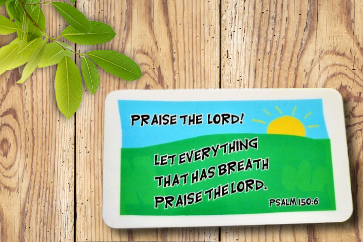 Praise The Lord!