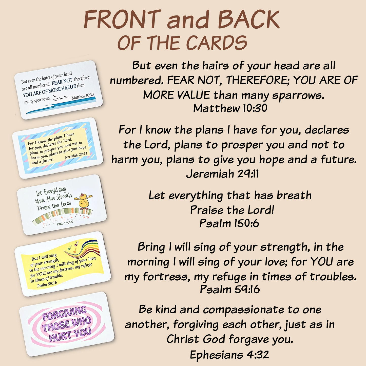 Youth Bible Set #1