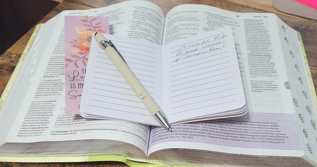STUDY PACKET D