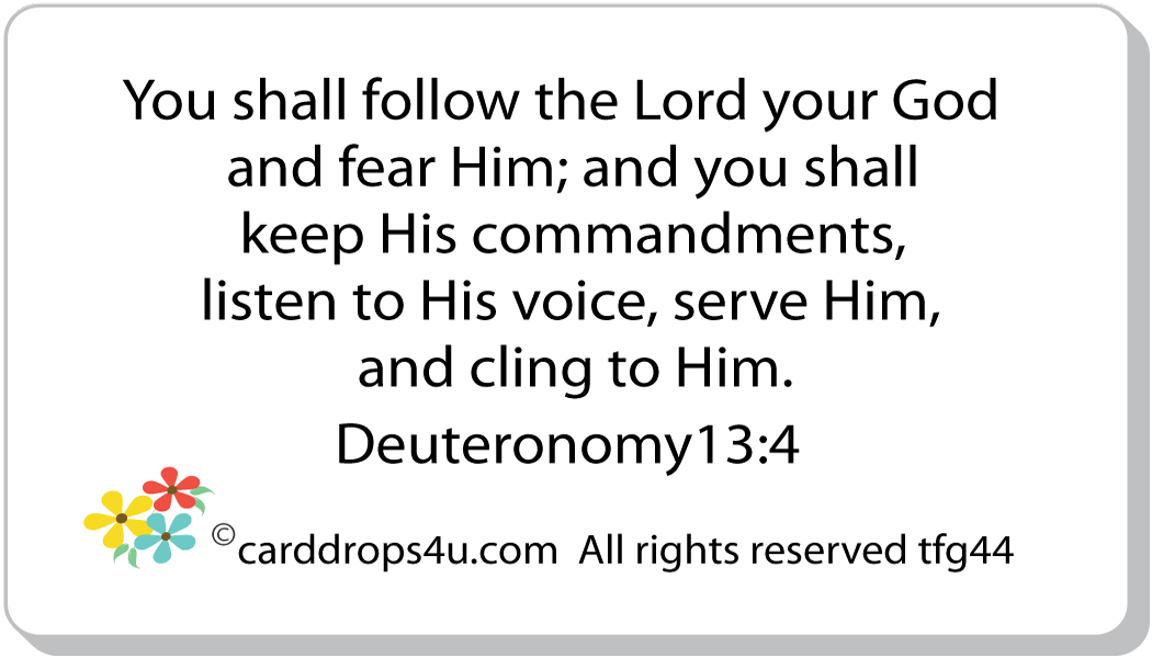 Respect and Honor God