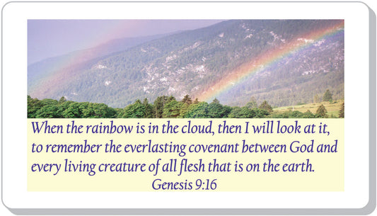 The Rainbow