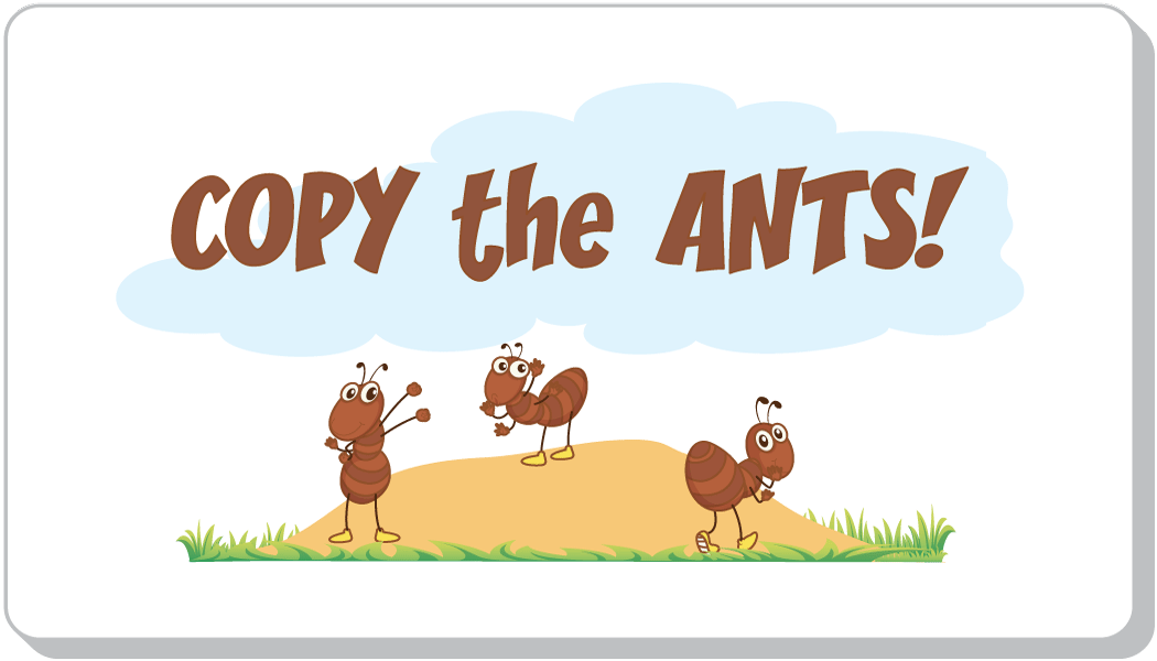 Copy the Ants