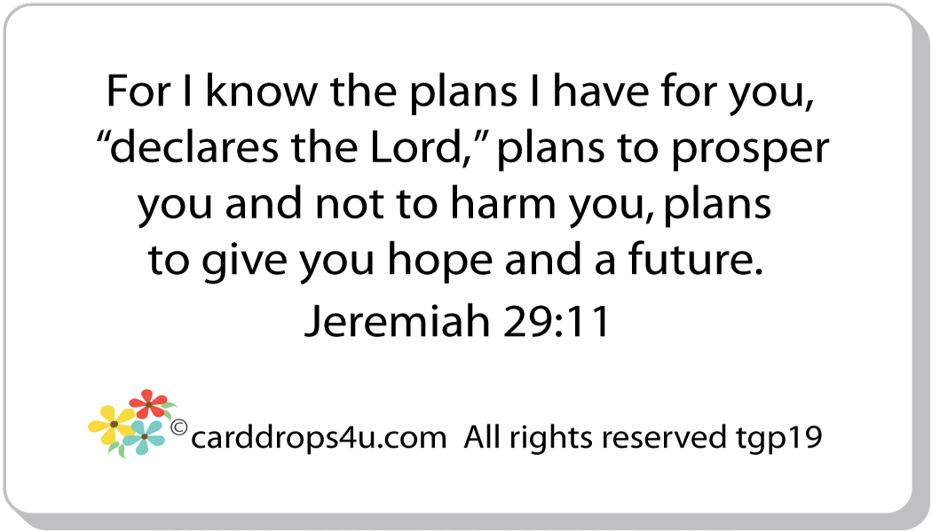 God's Plans for You