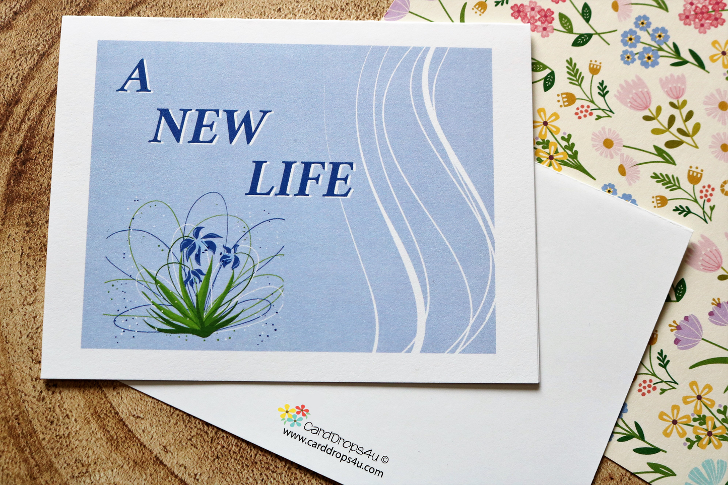 A New Life