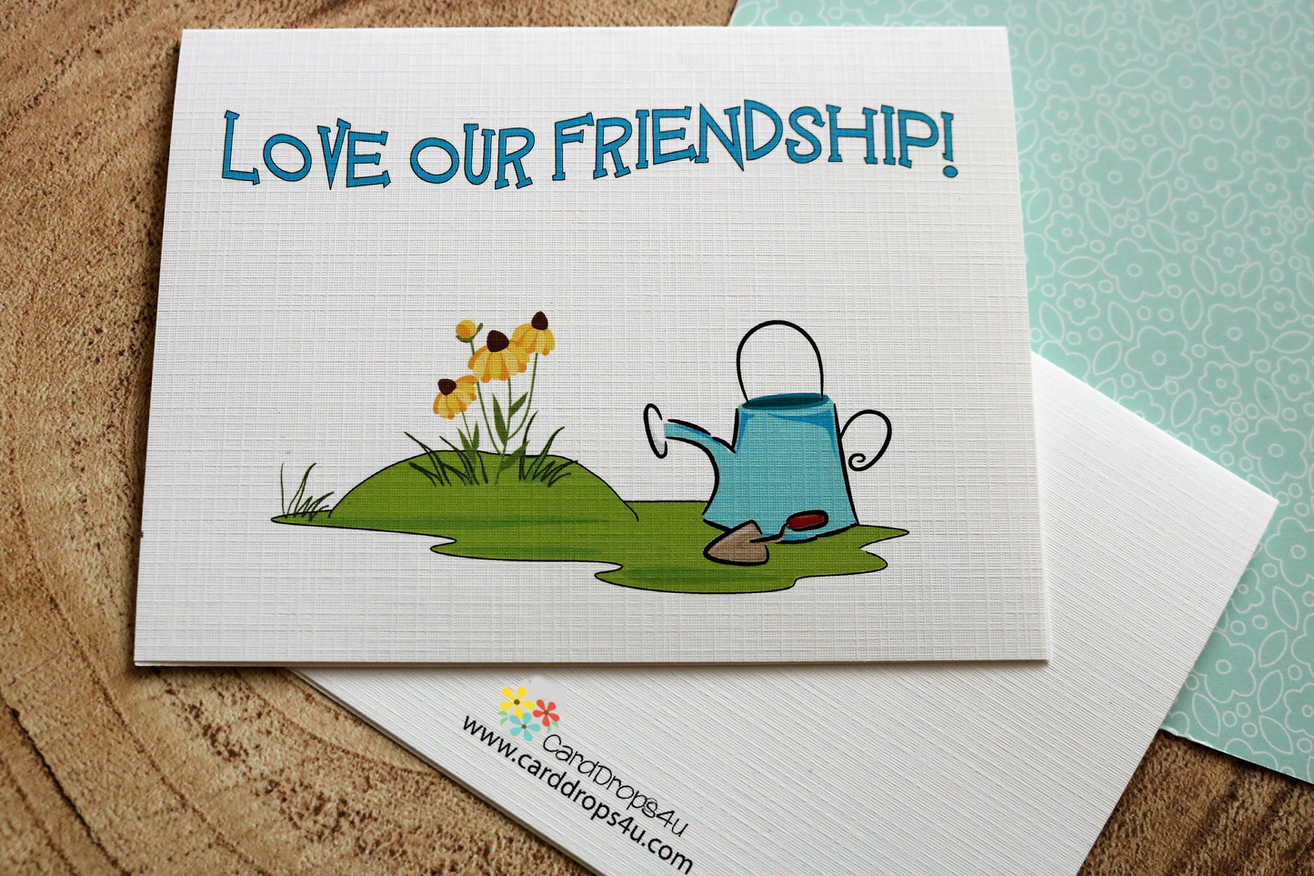A Special Friend
