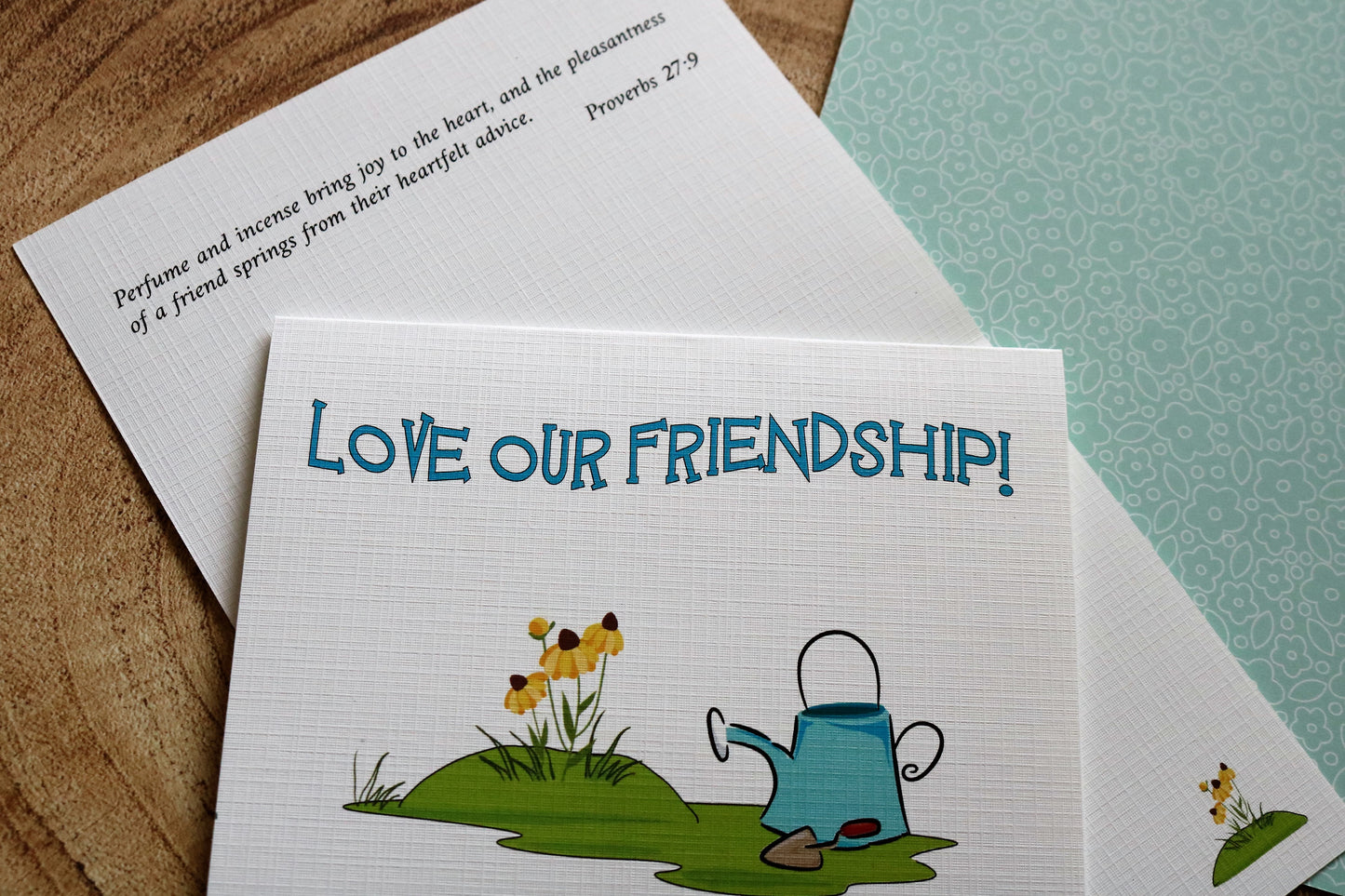 A Special Friend