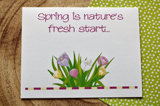 A Fresh Start