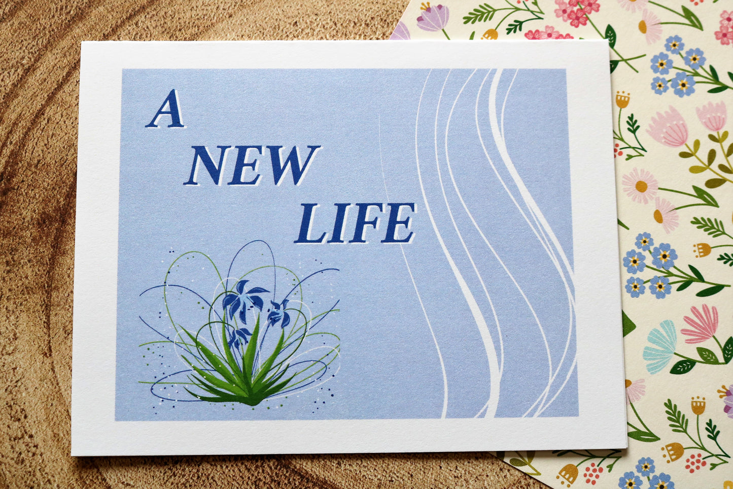 A New Life