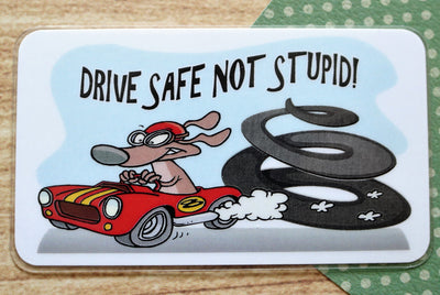 Drive Safe Not Stupid!